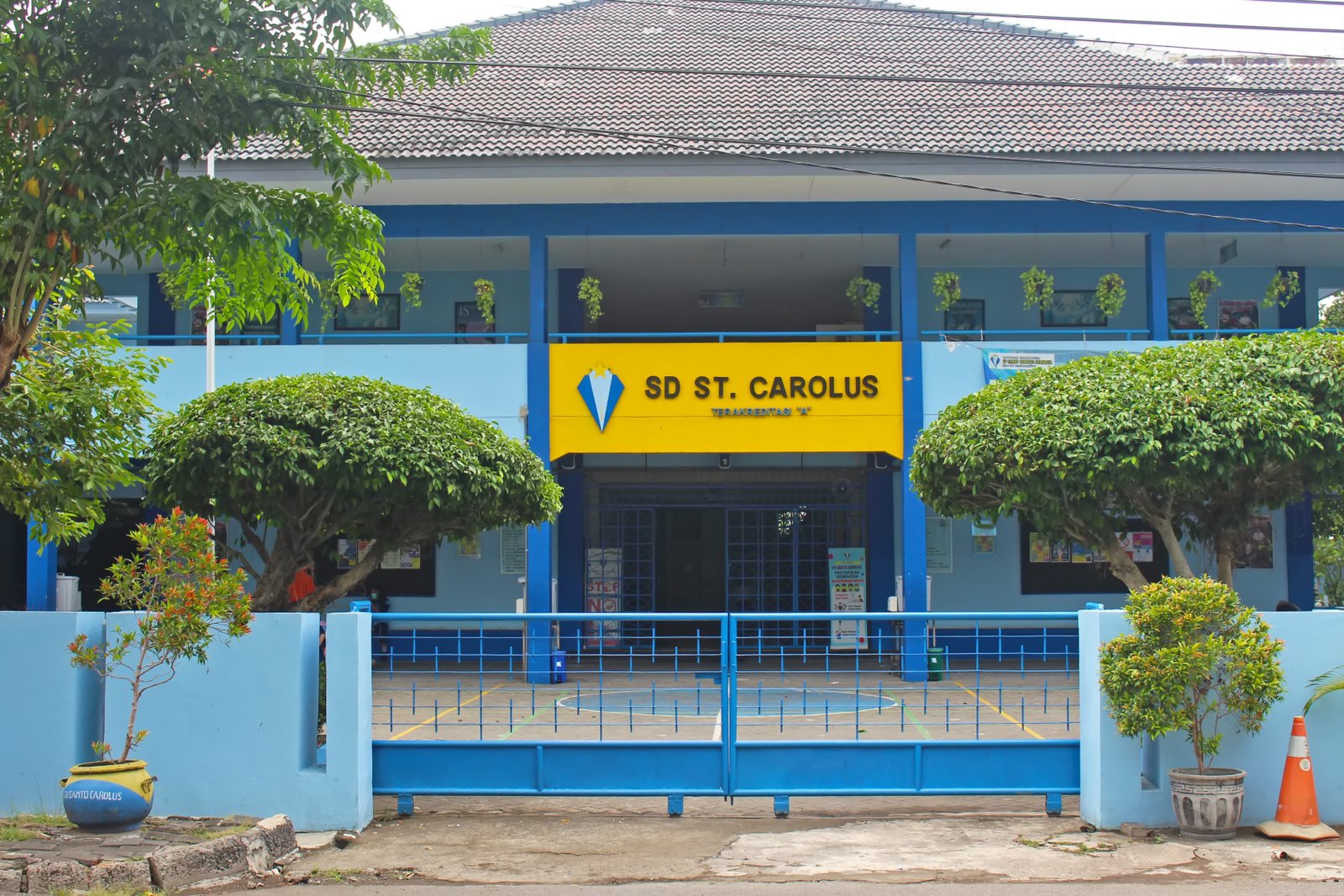 Image 2